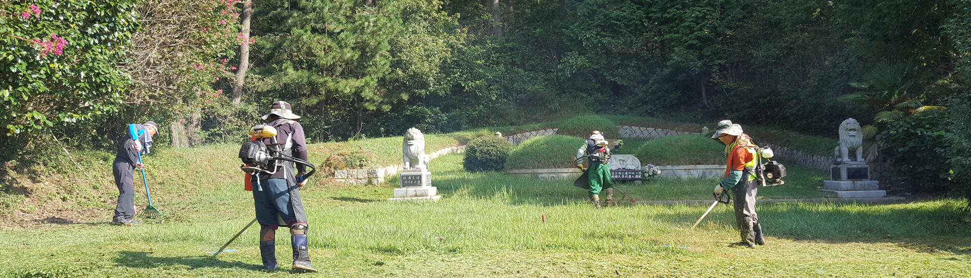 벌초 작업 이미지1