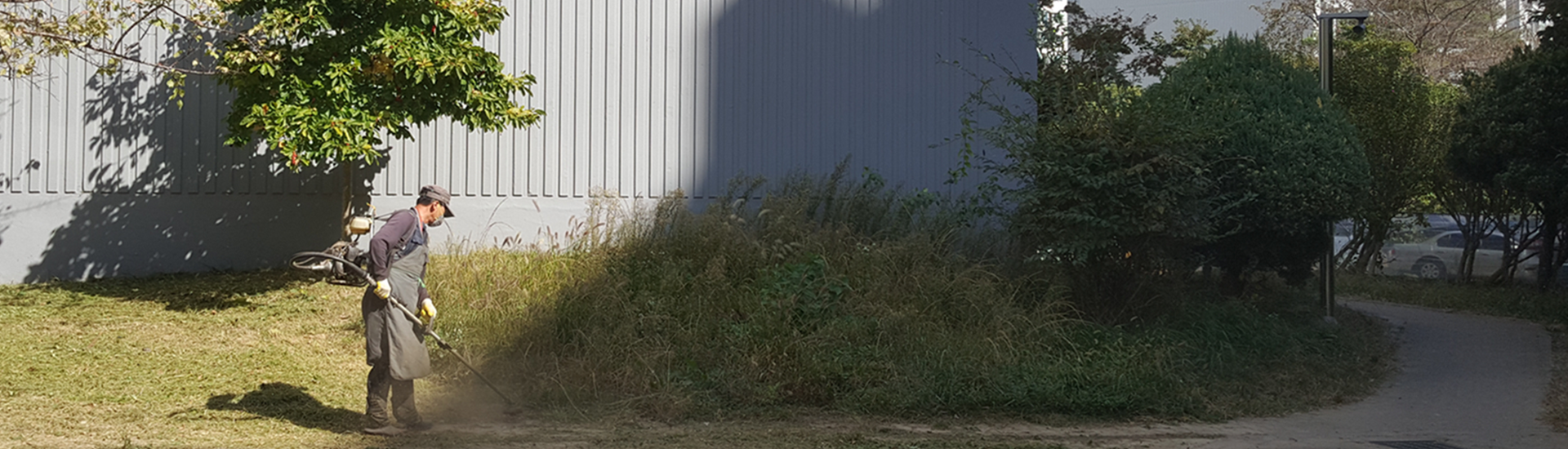 벌초 작업 이미지2